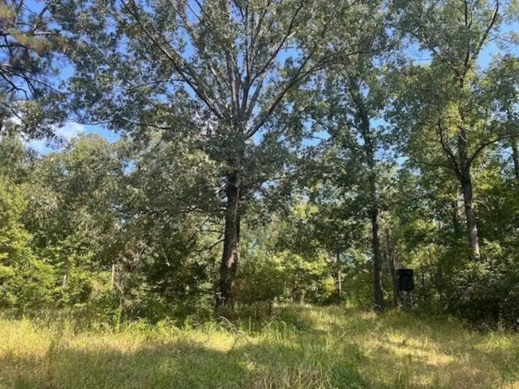 Picture 14