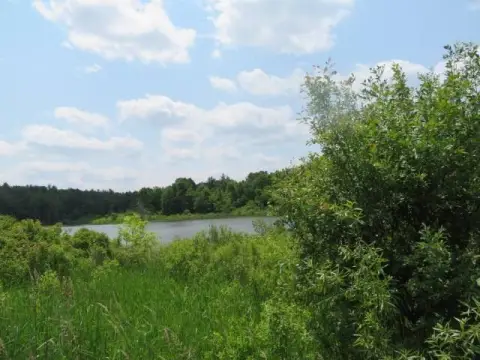 9.94 Acres with Pond Frontage
