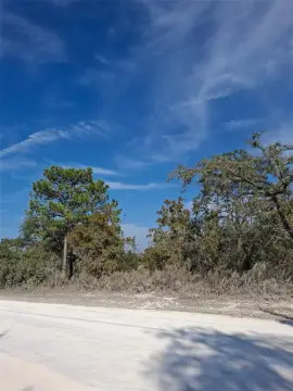 Residential Land in Weeki Wachee