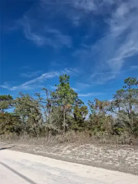 Residential Land in Weeki Wachee
