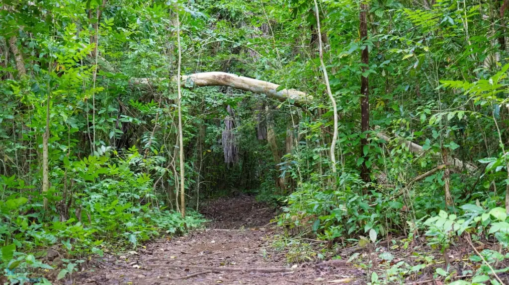 Picture 6