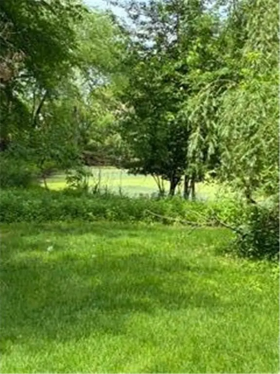 Picture 7