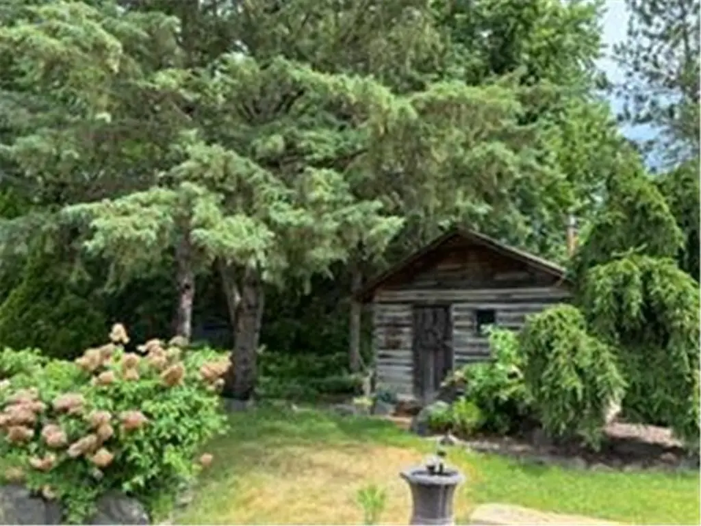 Picture 14