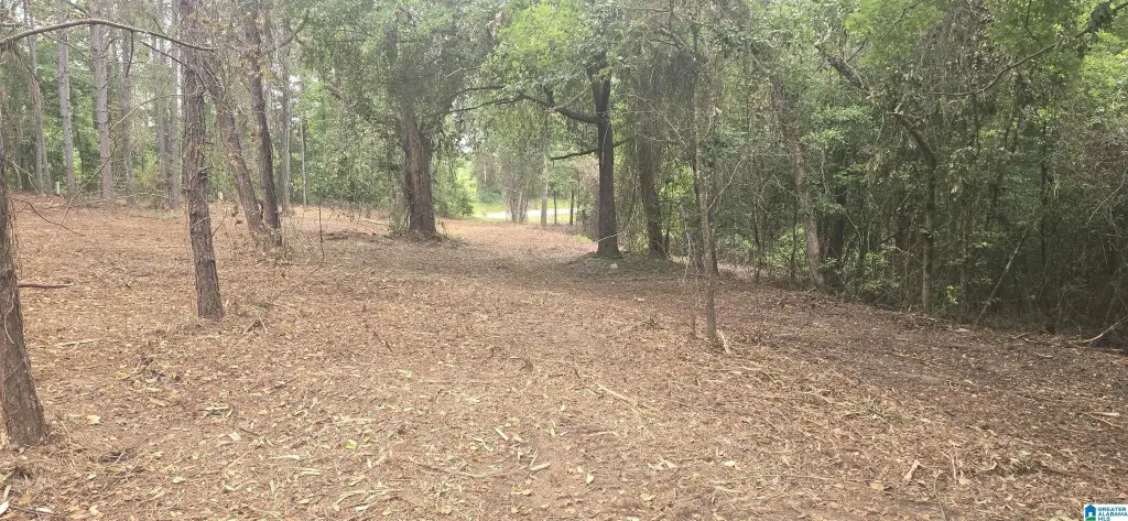 Picture 2