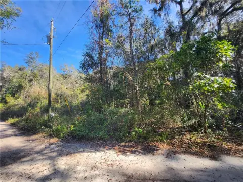 Residential Lot in Citra, FL