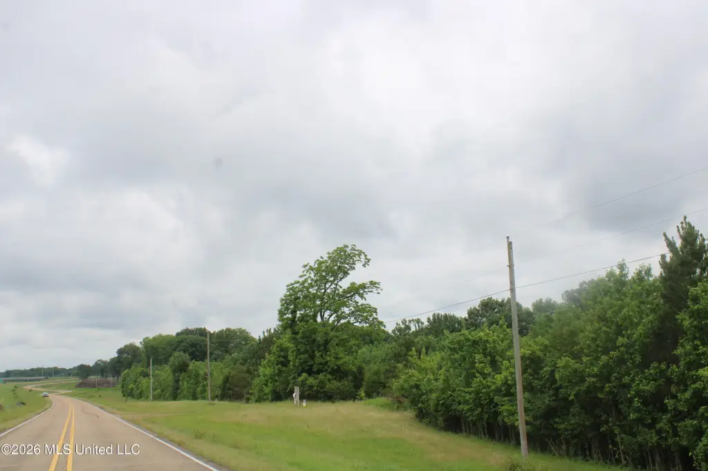Picture 19