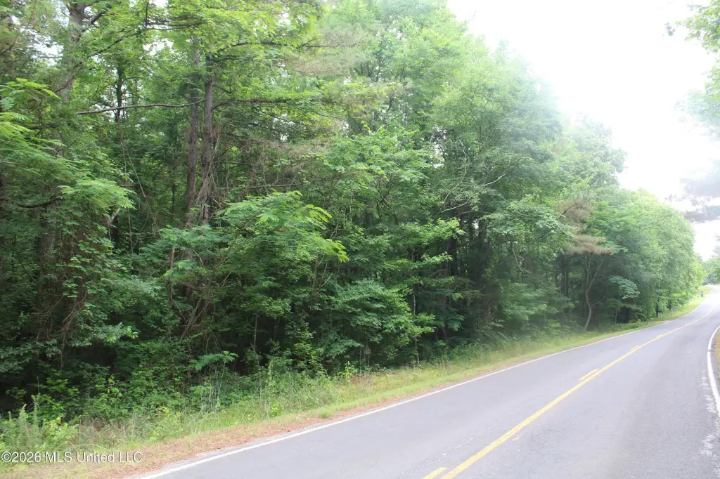 Picture 20