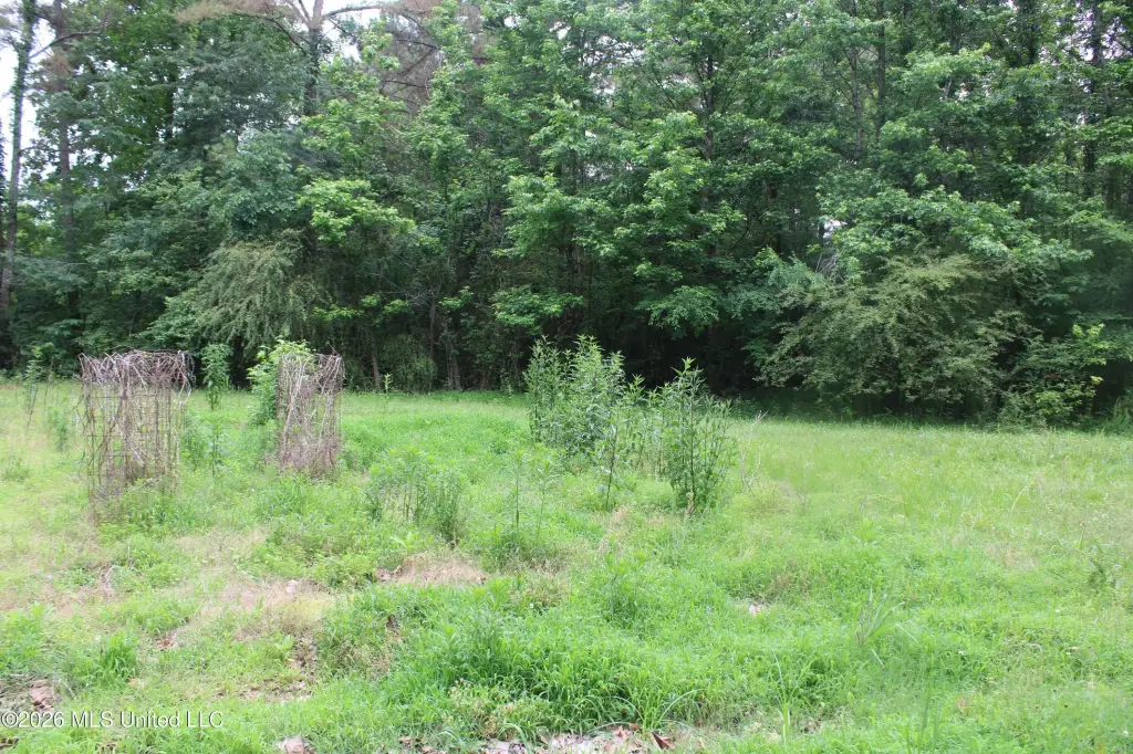 Picture 11