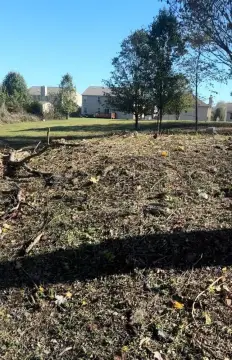 Cleared Land in Nashville, TN