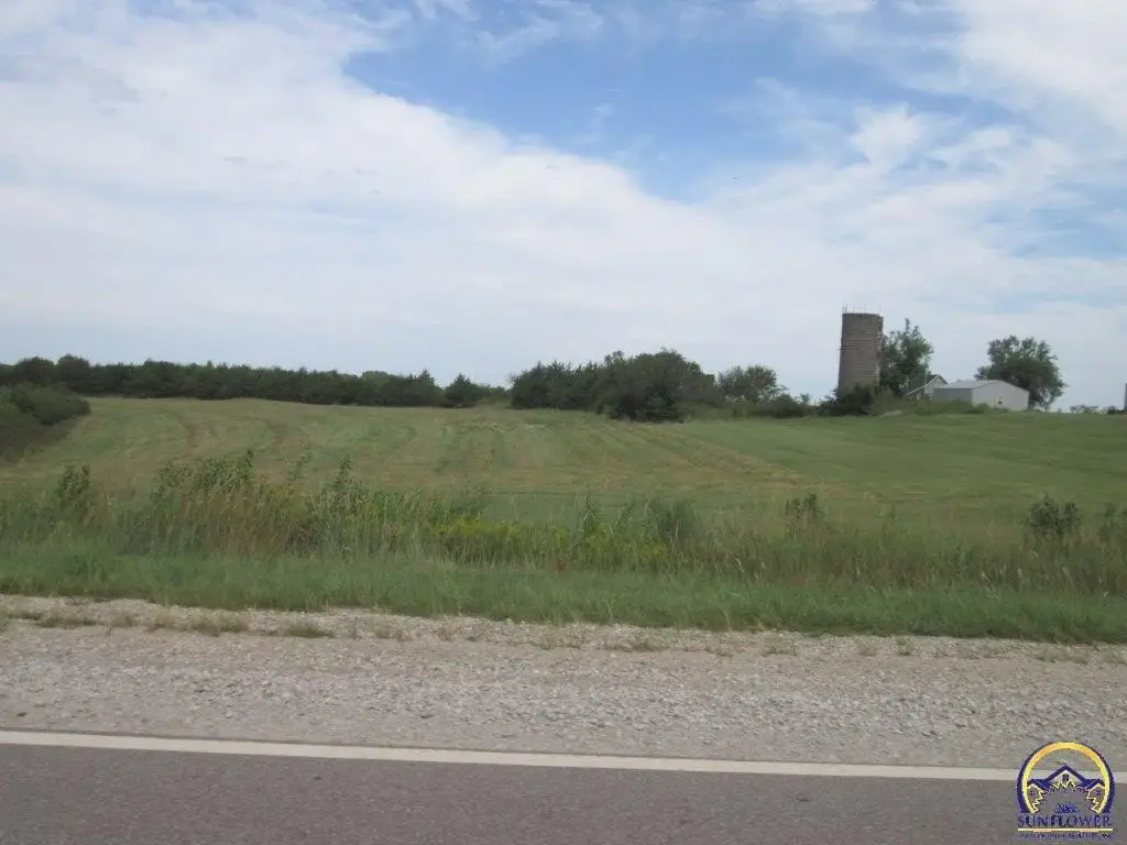 Picture 15