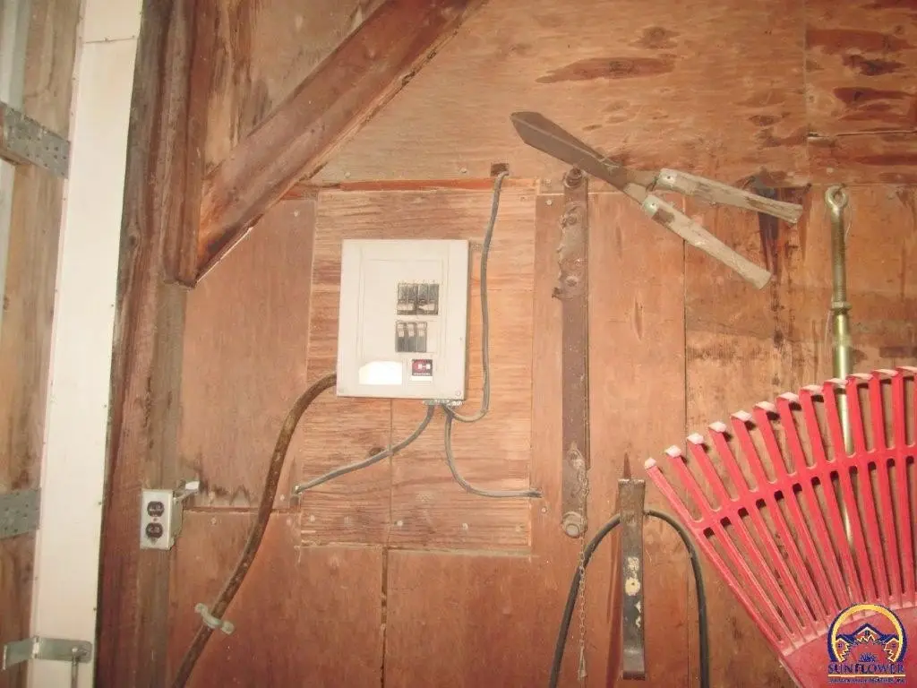 Picture 11