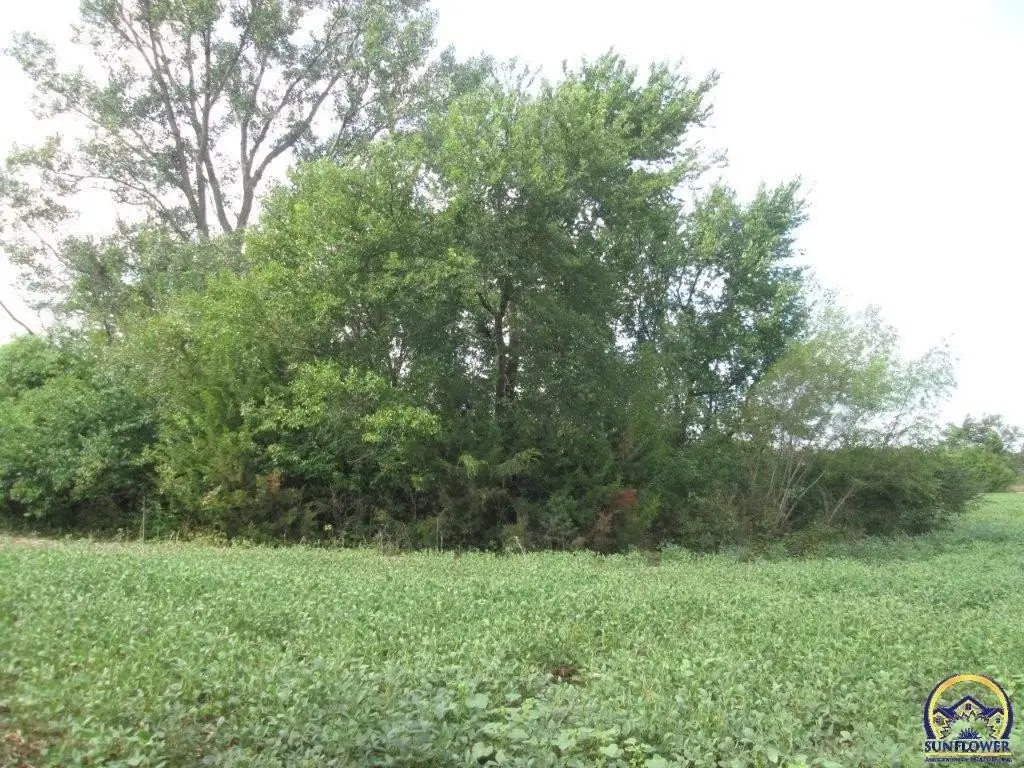 Picture 18