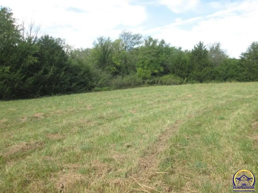 Picture 24