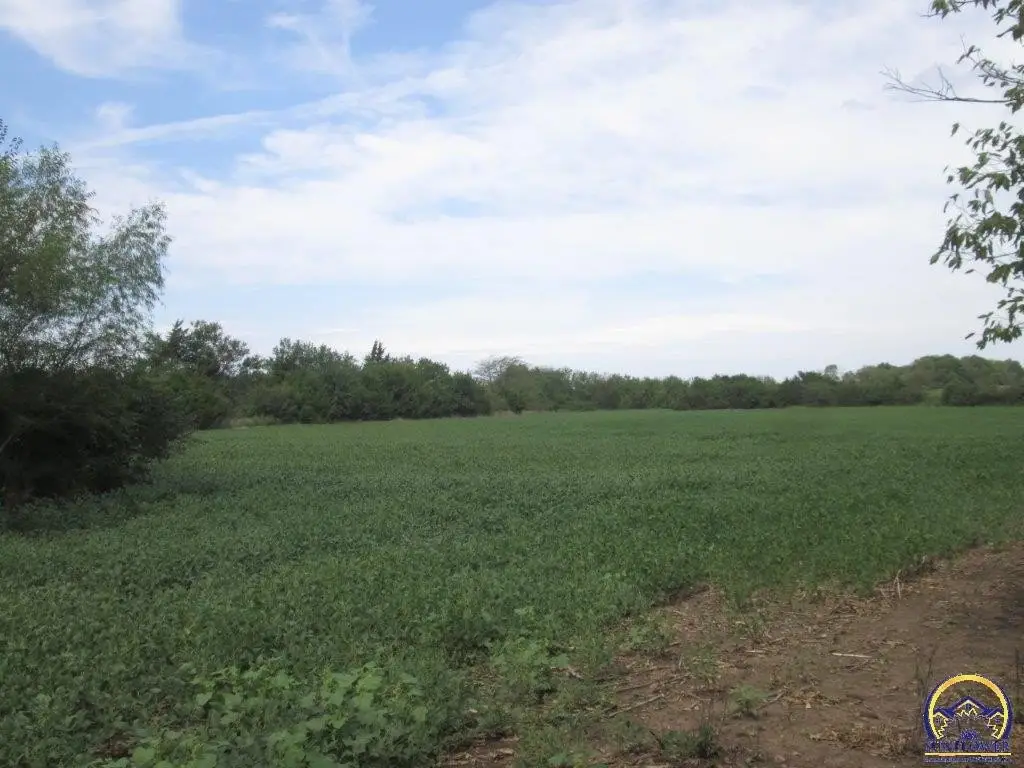 Picture 19