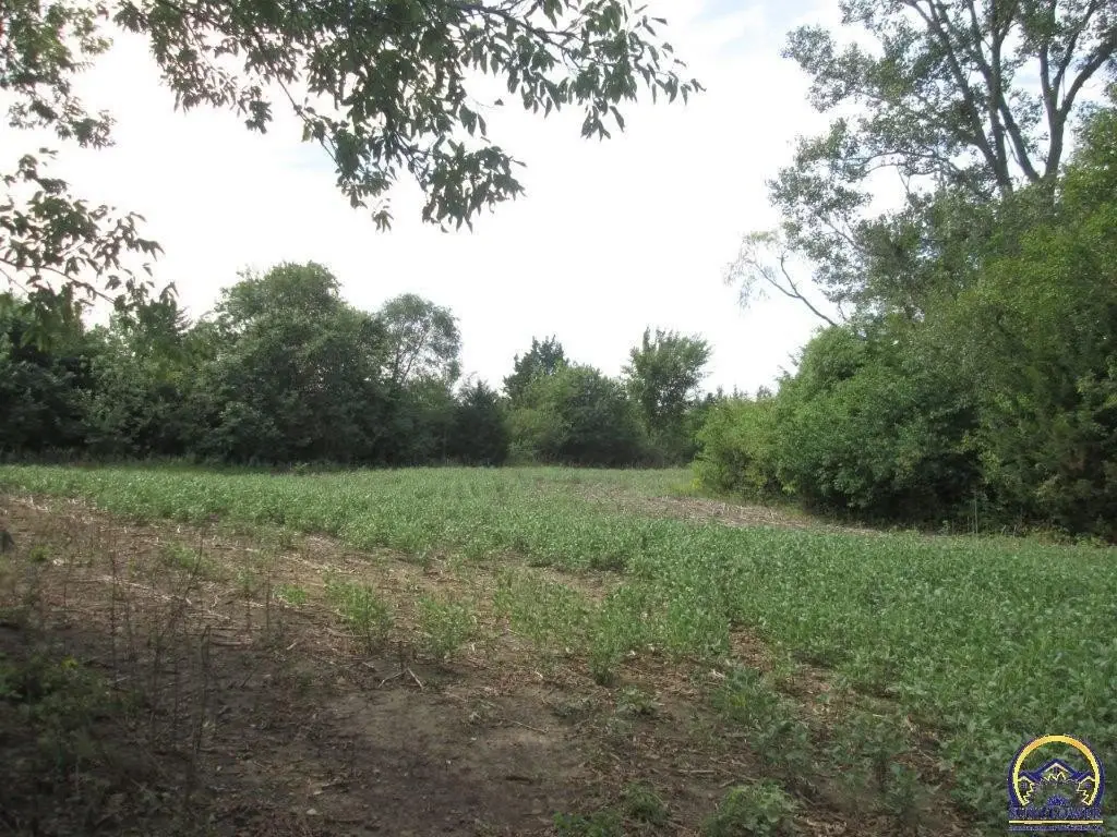 Picture 17