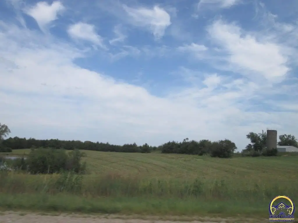 Picture 14