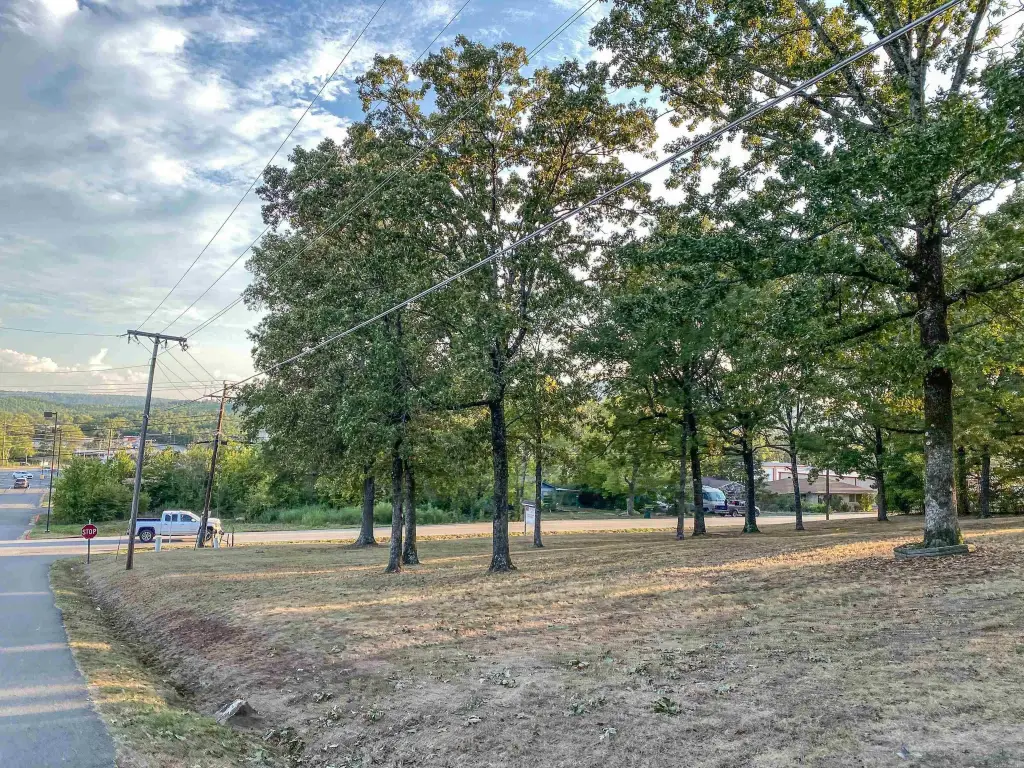 Picture 5