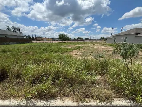 Residential Lot in La Joya, TX