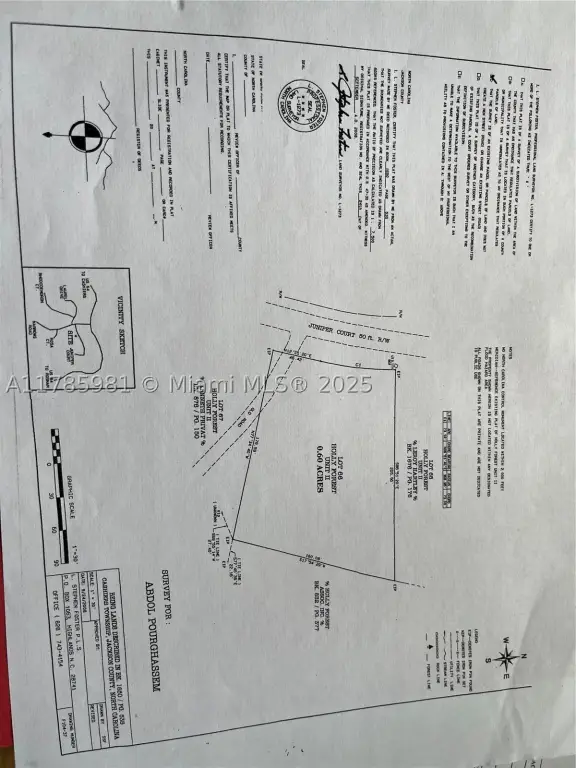 Picture 19