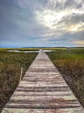 Wooded Residential Lot with Pier
