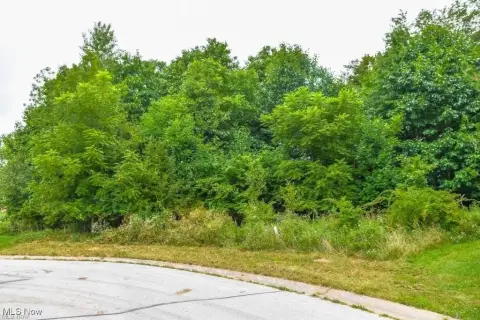 Residential Land in Canton, OH