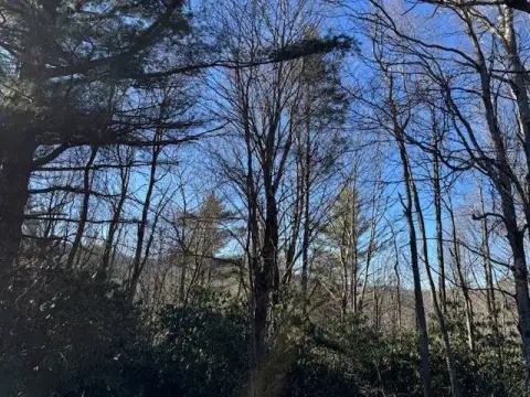 Vacant Land Near Pisgah Forest
