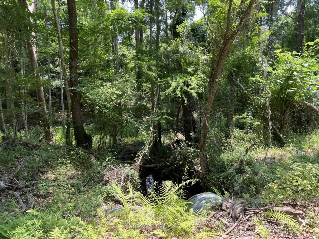 Picture 28