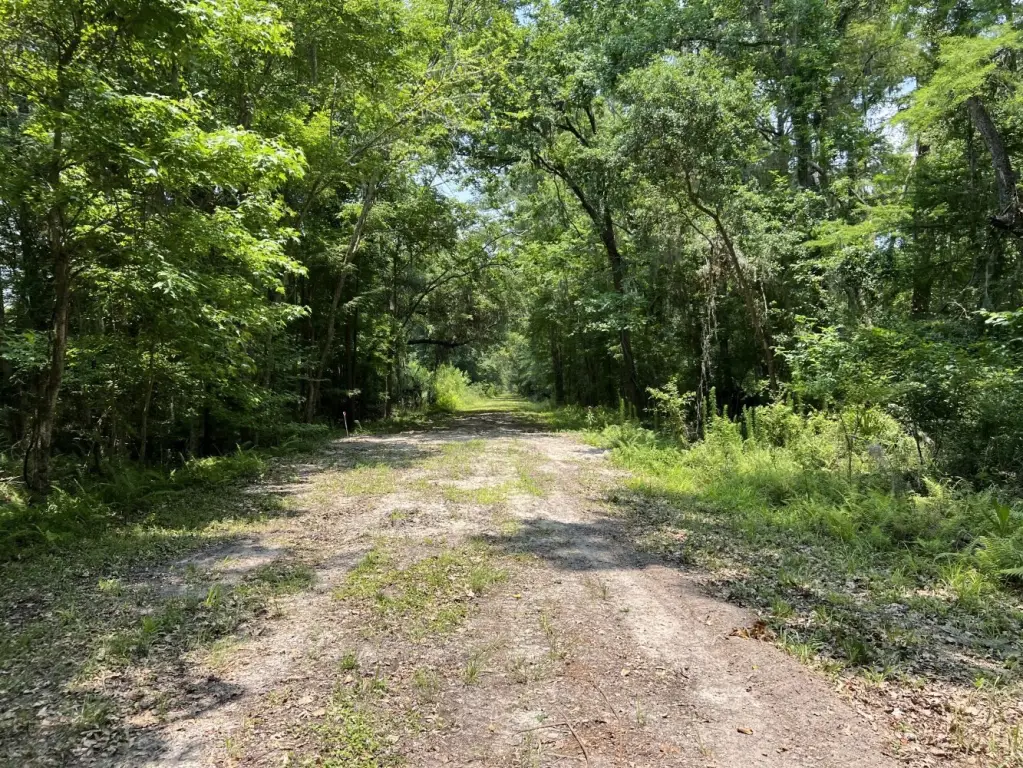 Picture 25