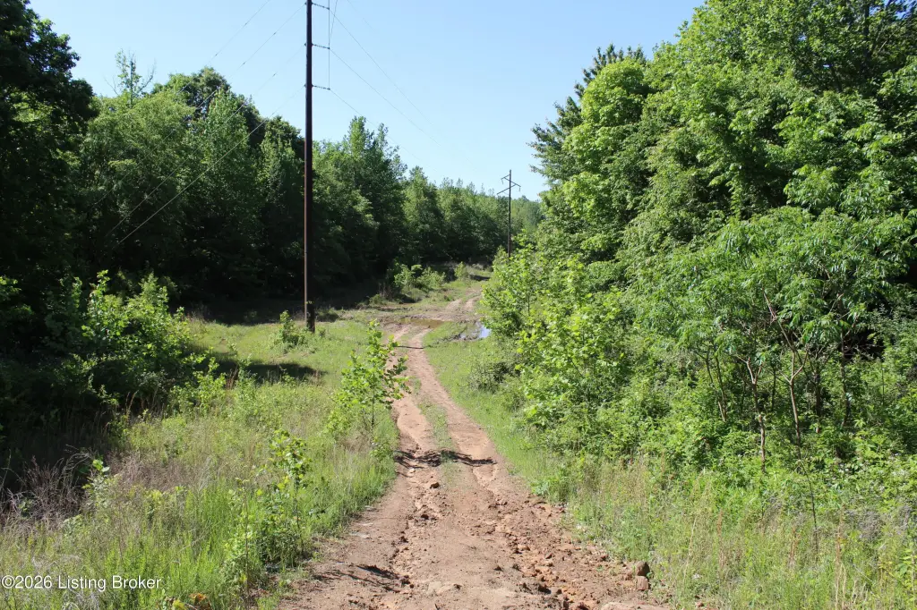 Picture 49