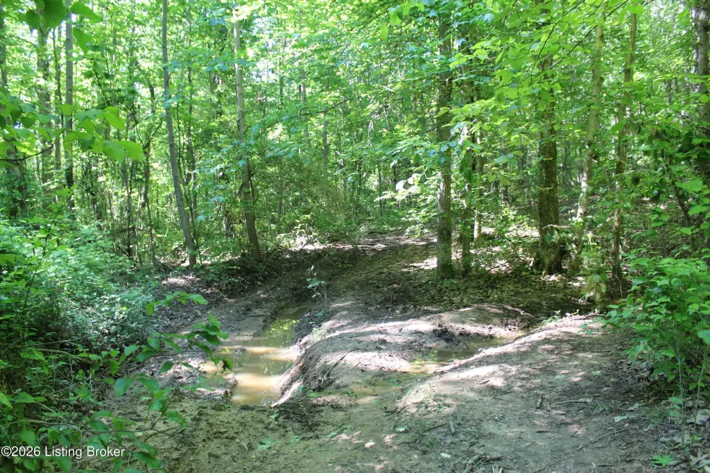 Picture 43