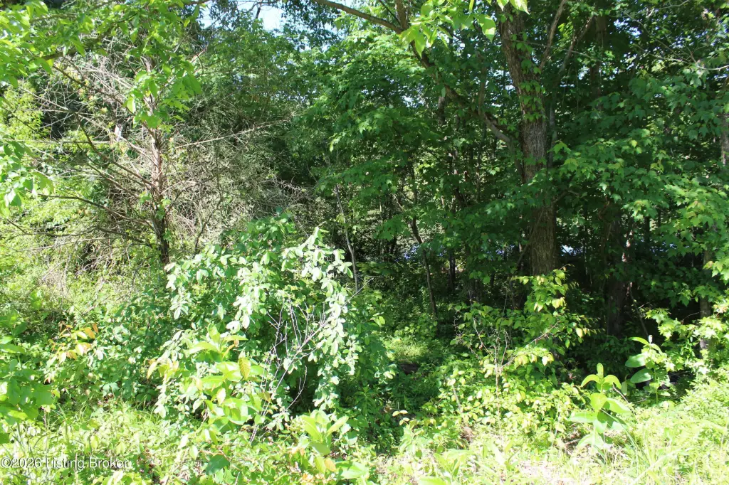 Picture 47