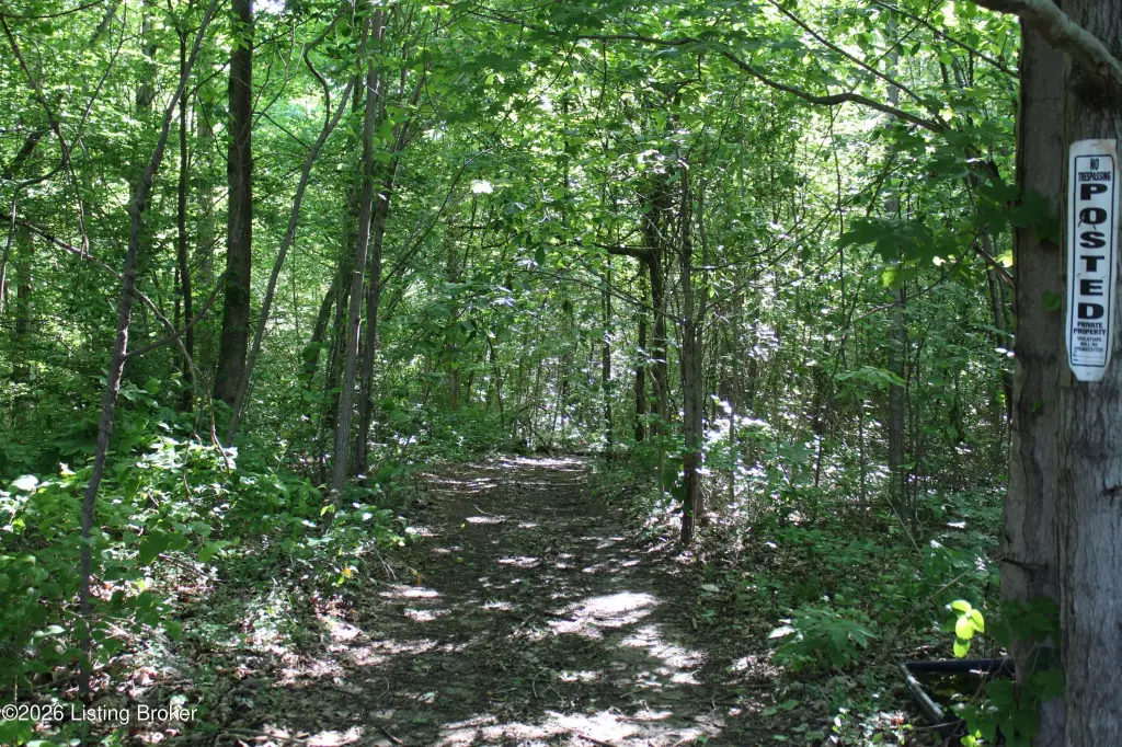 Picture 17