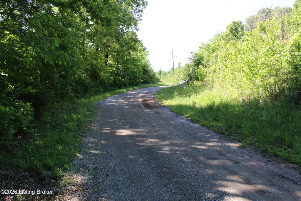 Picture 53