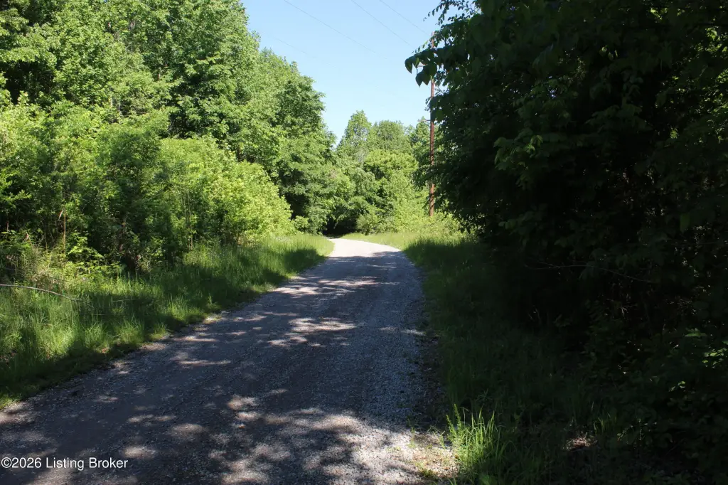 Picture 32