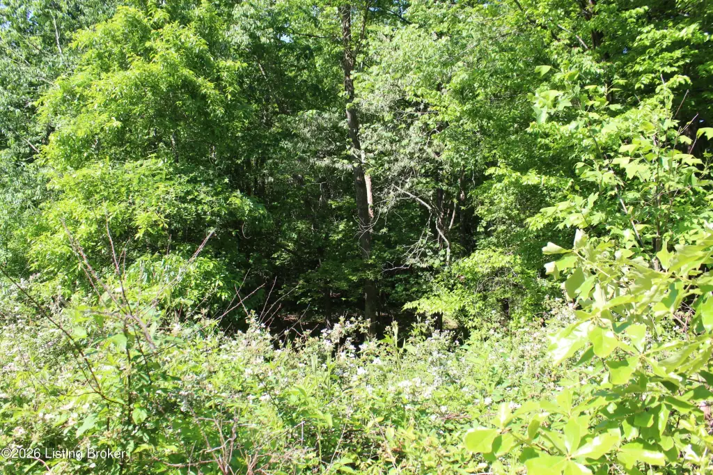 Picture 31