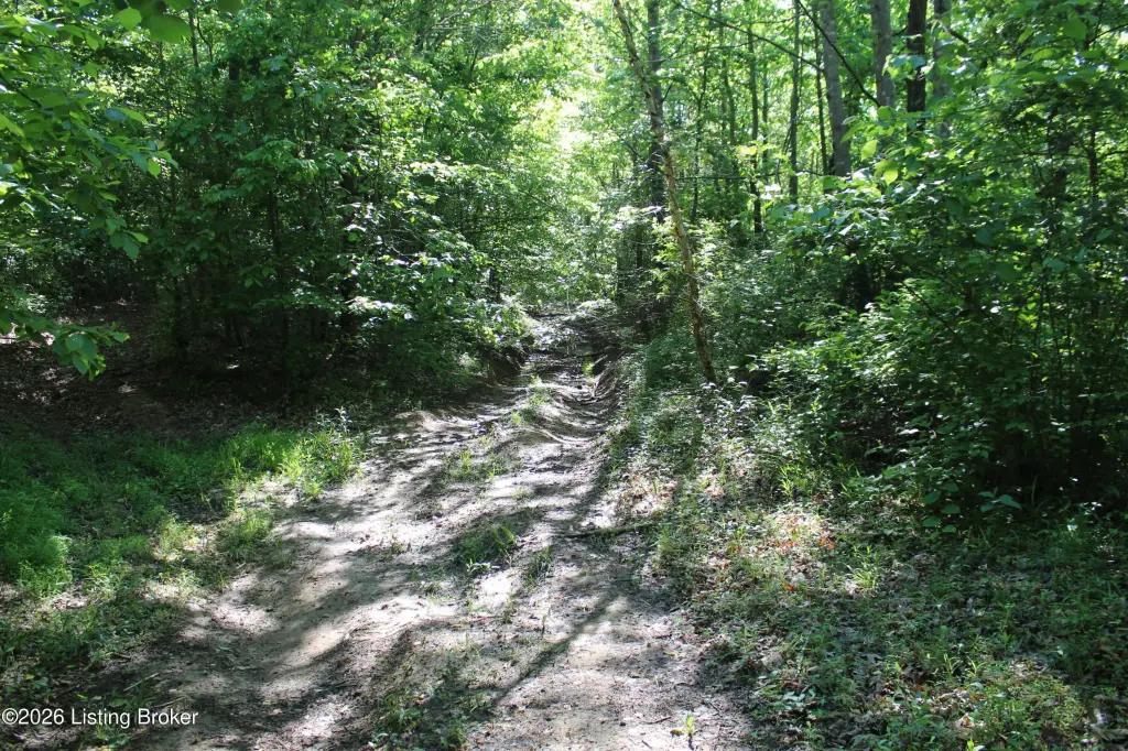 Picture 28