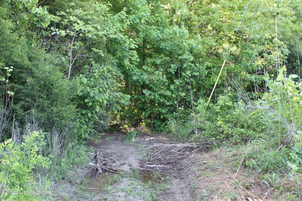 Picture 24