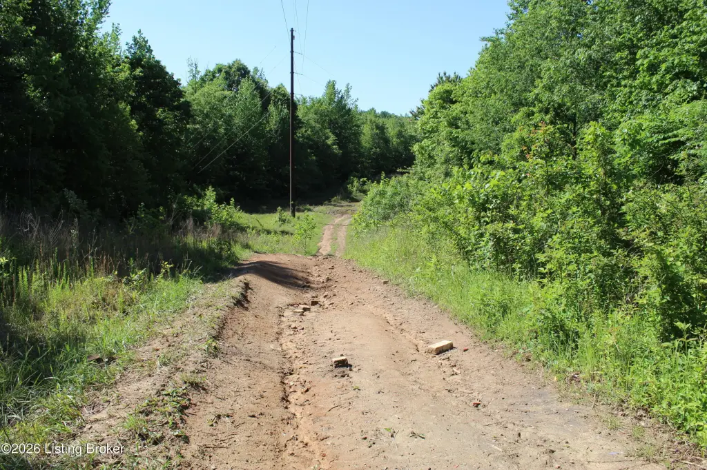 Picture 30