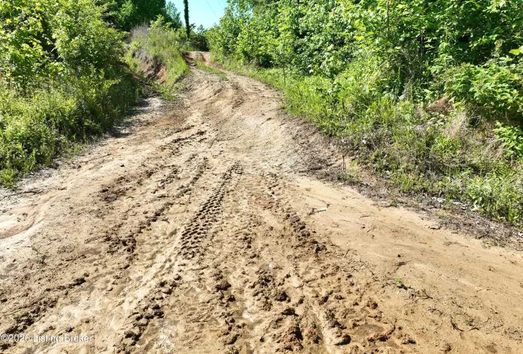 Picture 21