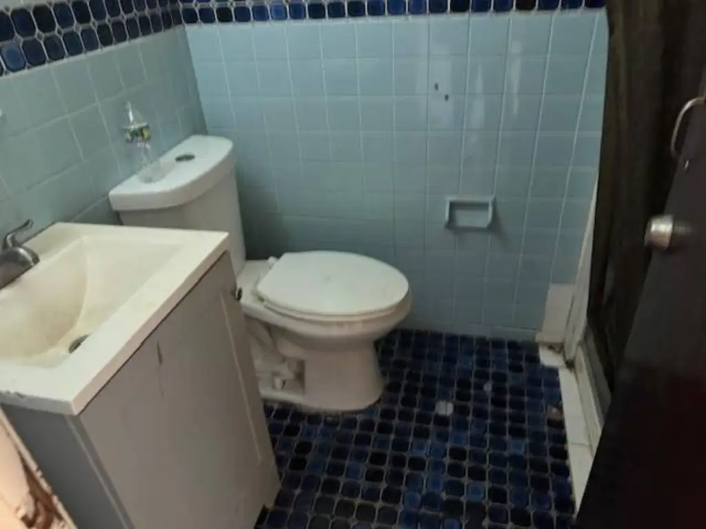 Picture 14