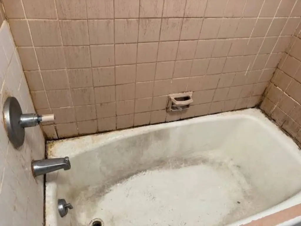 Picture 21