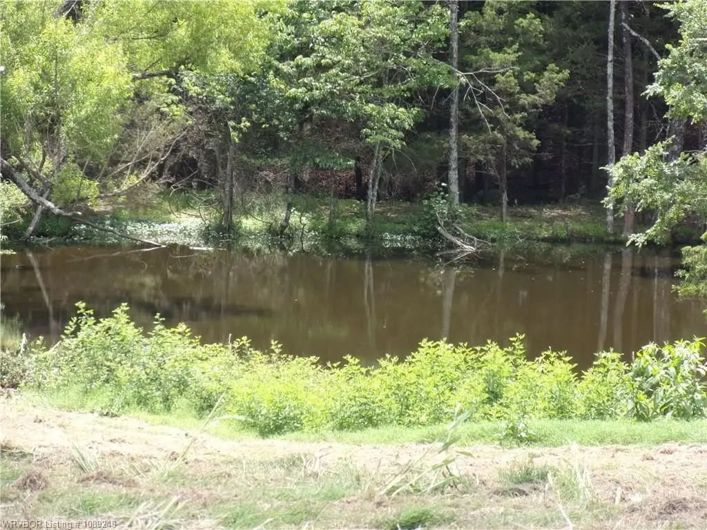 Picture 11
