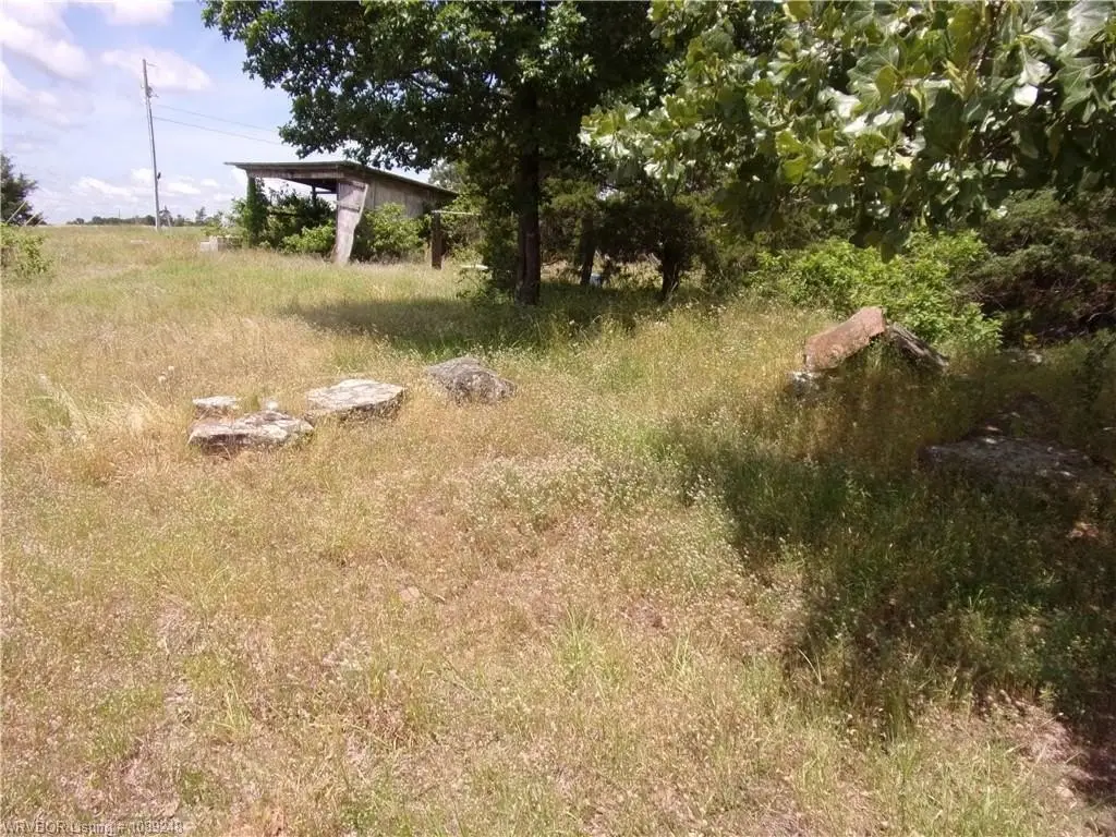 Picture 27
