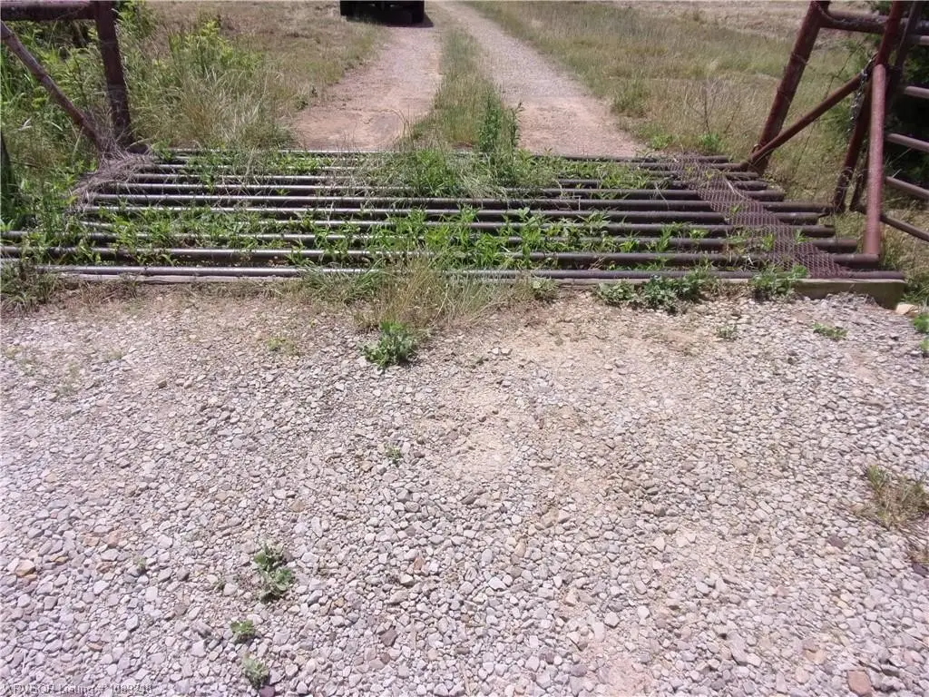 Picture 3