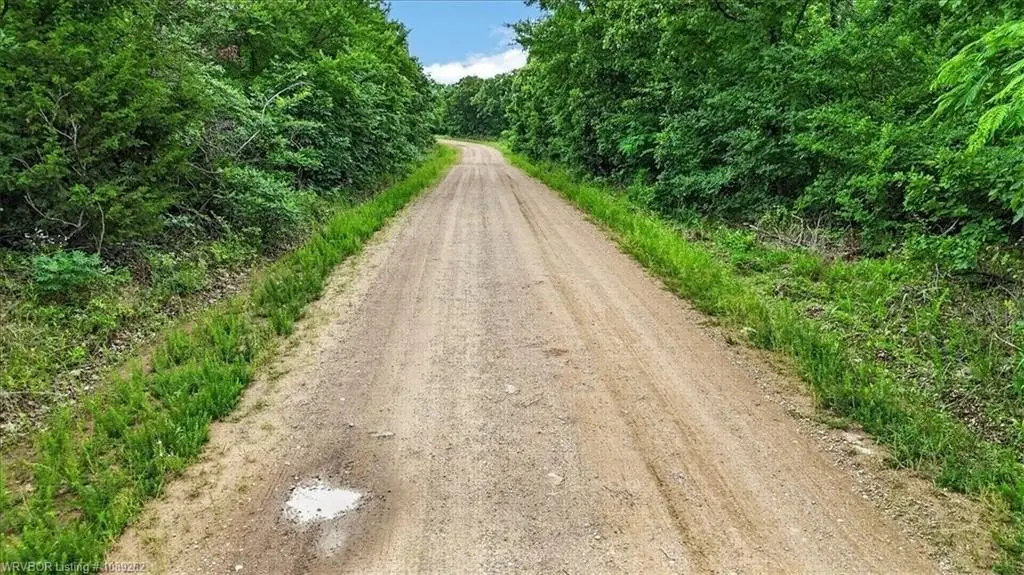 Picture 8