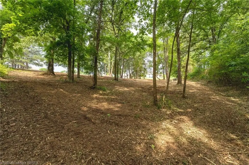 Picture 11