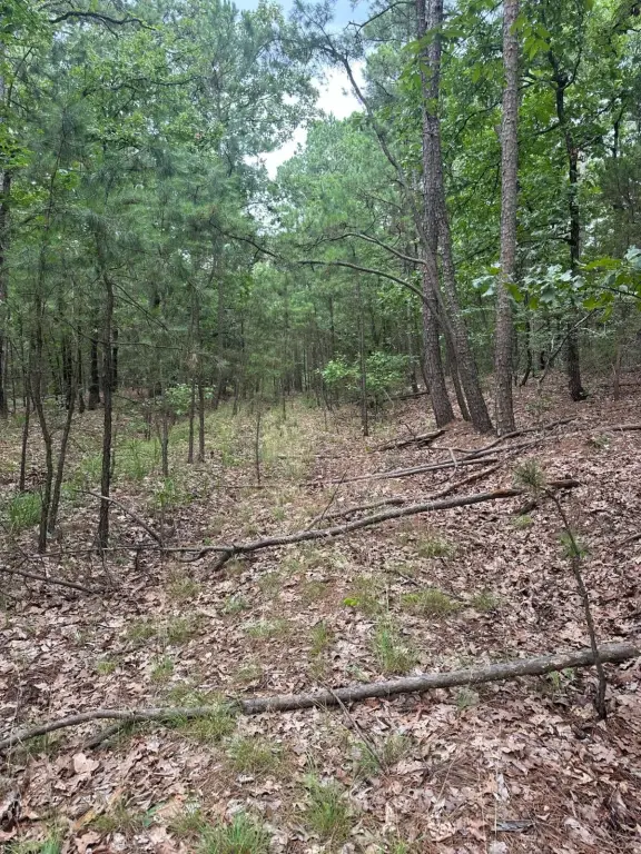 Picture 4