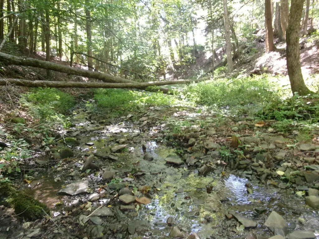 Picture 9