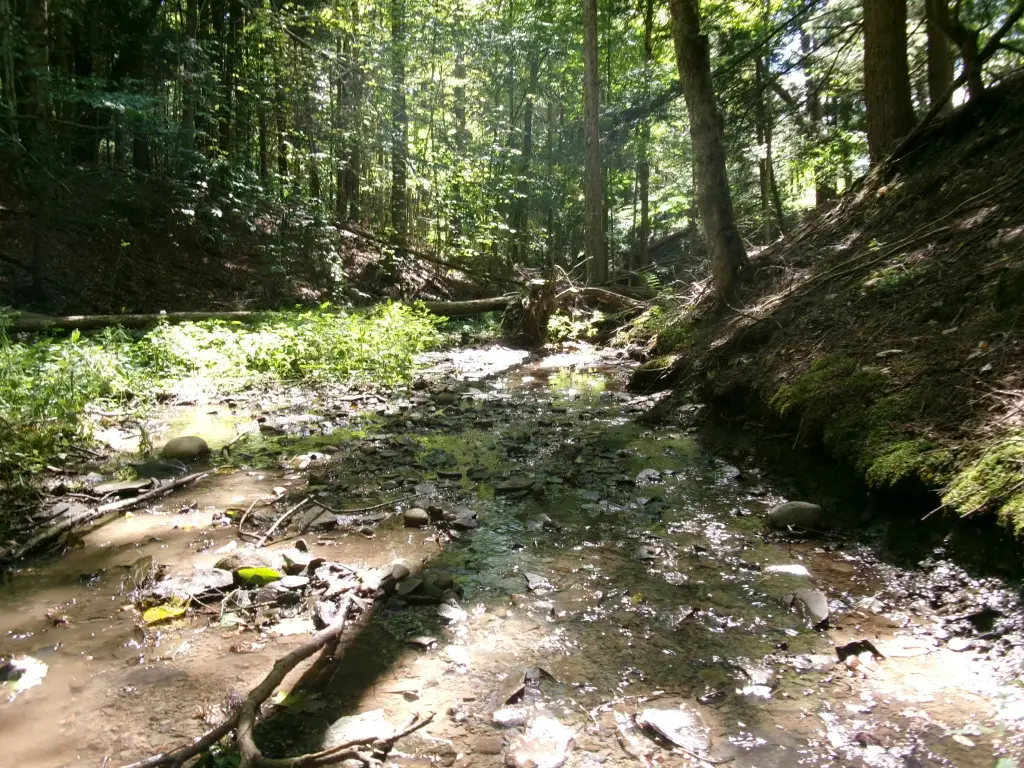 Picture 7