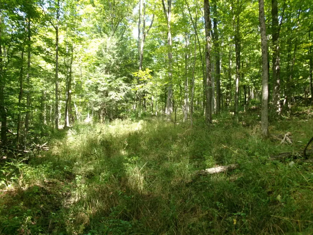 Picture 17
